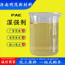 山东造纸湿强剂
